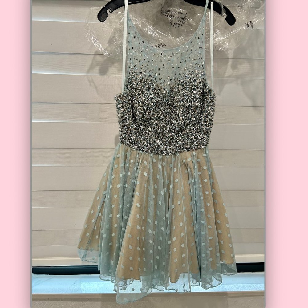 EUC Glamour by Terani Couture - Beaded Dress